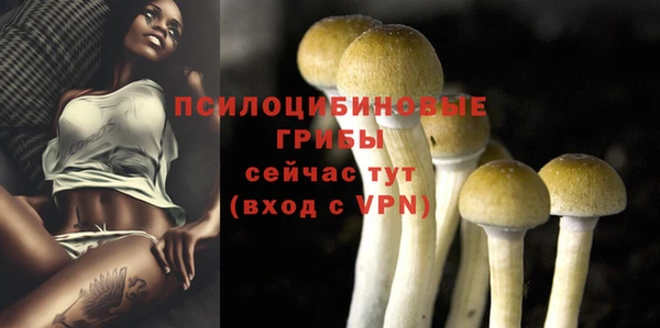 ПСИЛОЦИБИНОВЫЕ ГРИБЫ Белоозёрский